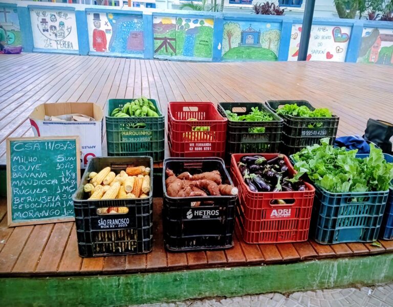 CSA São Bento do Sapucaí fortalece agricultura familiar no território
